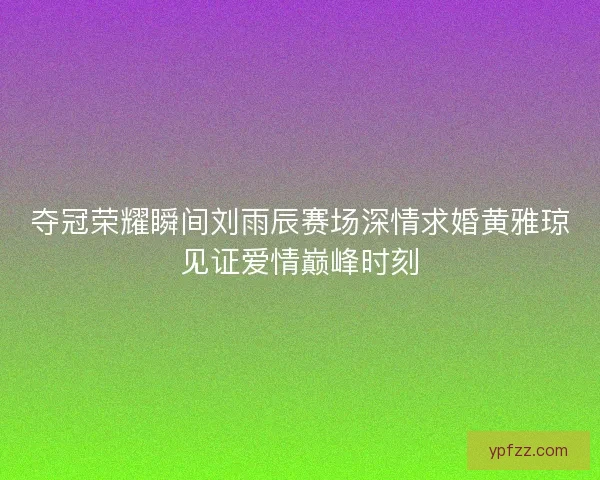 夺冠荣耀瞬间刘雨辰赛场深情求婚黄雅琼见证爱情巅峰时刻