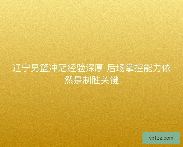 辽宁男篮冲冠经验深厚 后场掌控能力依然是制胜关键