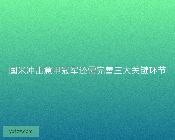国米冲击意甲冠军还需完善三大关键环节