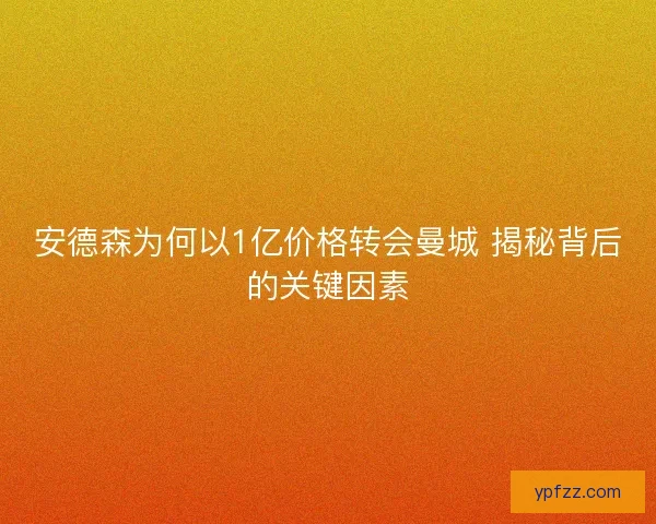安德森为何以1亿价格转会曼城 揭秘背后的关键因素